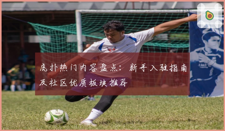 虎扑热门内容盘点：新手入驻指南及社区优质板块推荐
