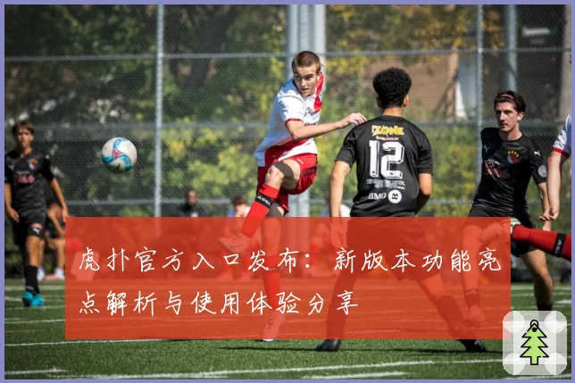 虎扑官方入口发布:新版本功能亮点解析与使用体验分享